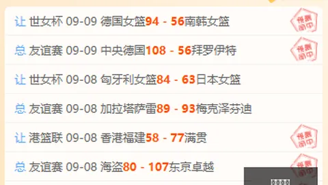 机独家配件价格曝光：点阵屏前盖仅售8999美元，黑白墨水屏版高达9999美元，避雷指南